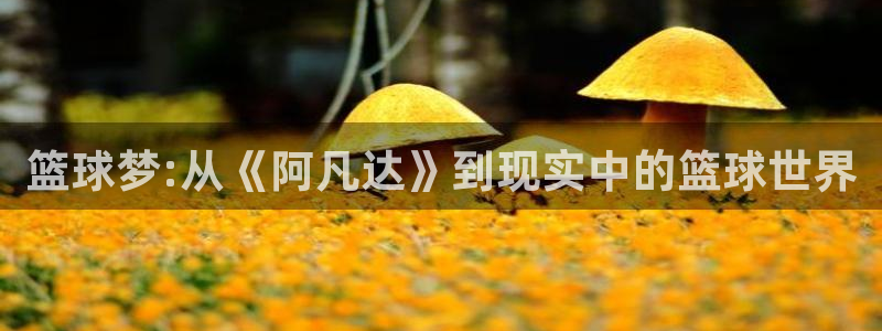 一念永恒动漫免费观看樱花动漫：篮球梦:从《阿凡达》到现实中的篮球世界