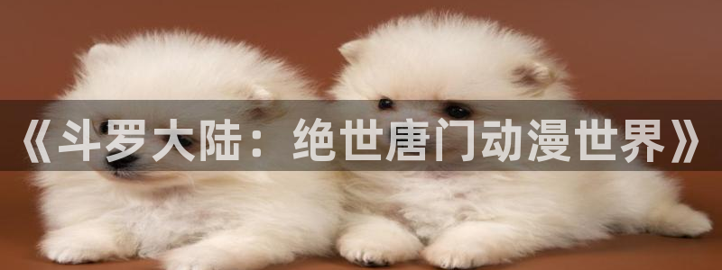 樱花动漫入口：《斗罗大陆：绝世唐门动漫世界》